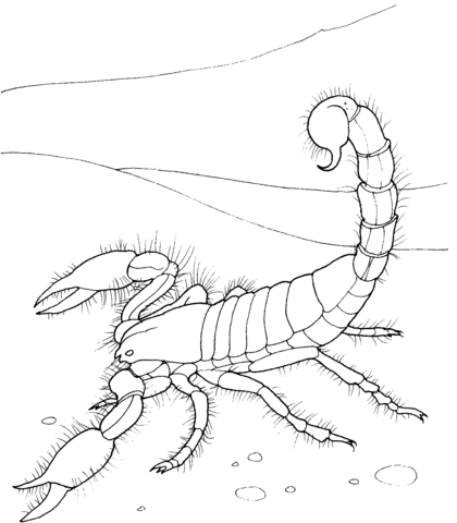 Giant Desert Scorpion Coloring Page